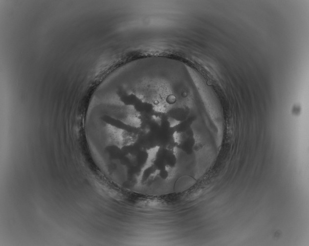 X0000091950503200709271328