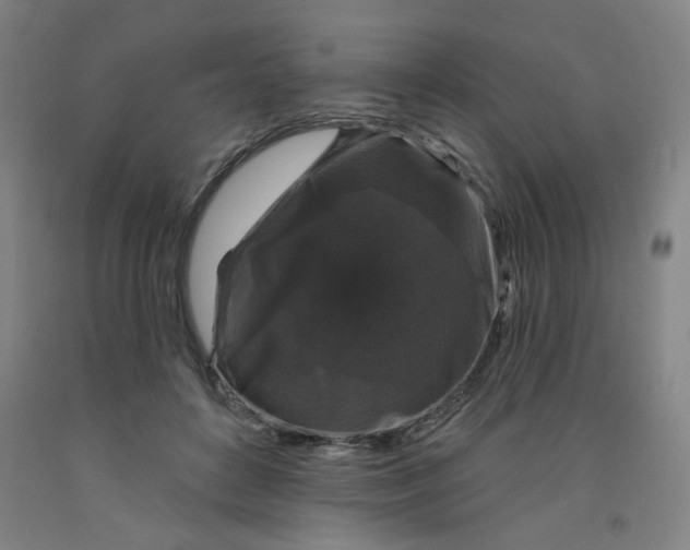 X0000091950504200709271328