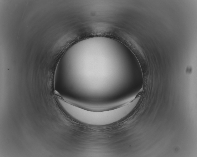 X0000091950505200709271328