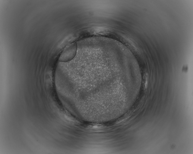 X0000091950506200709271328