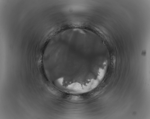 X0000091950507200709271328