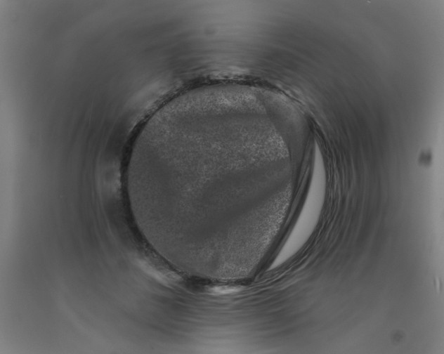 X0000091950508200709271328