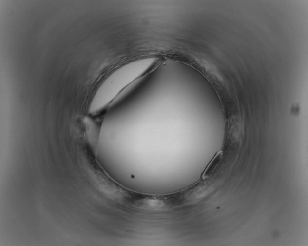 X0000091950509200709271328