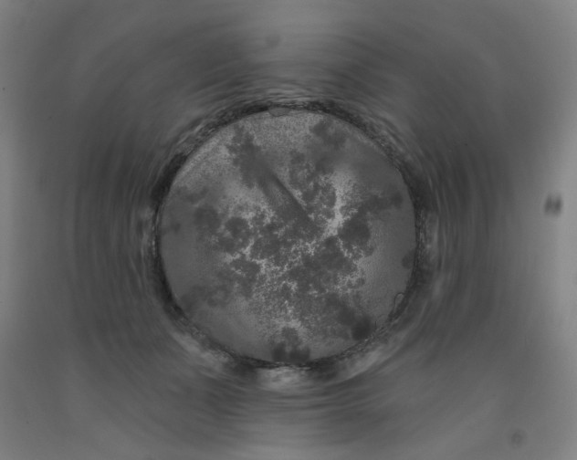 X0000091950511200709271328