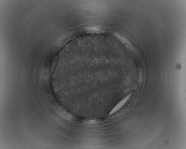 X0000091950513200709271328