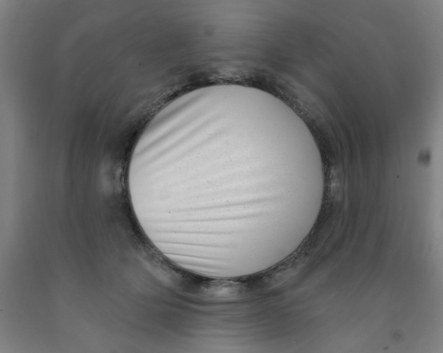 X0000091950514200709271328