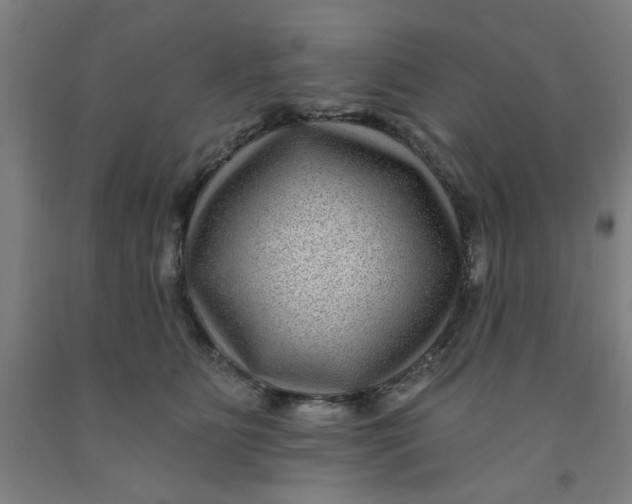 X0000091950515200709271328