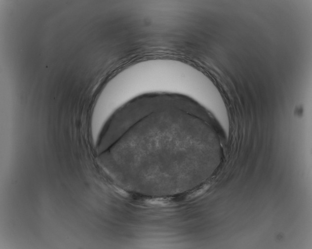 X0000091950516200709271328