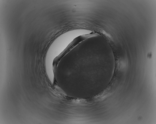 X0000091950517200709271328