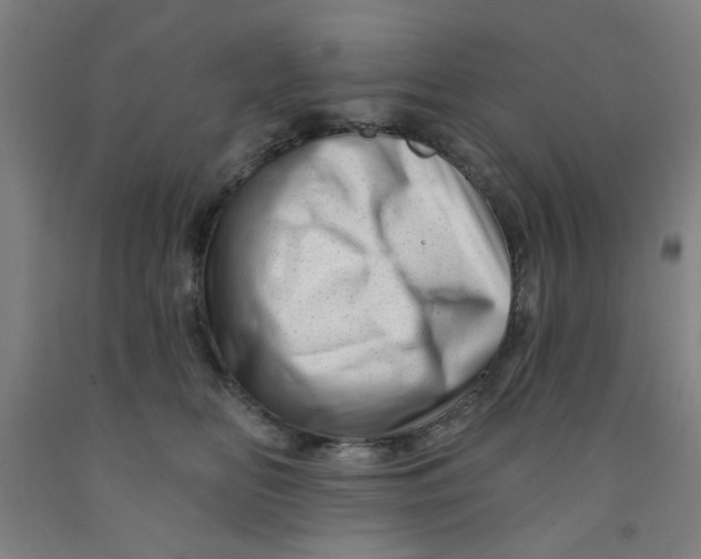 X0000091950518200709271328