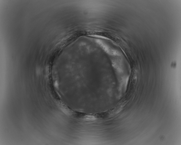 X0000091950519200709271328