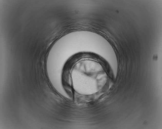 X0000091950520200709271328