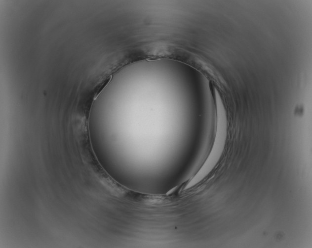 X0000091950521200709271328