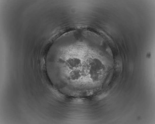 X0000091950523200709271328