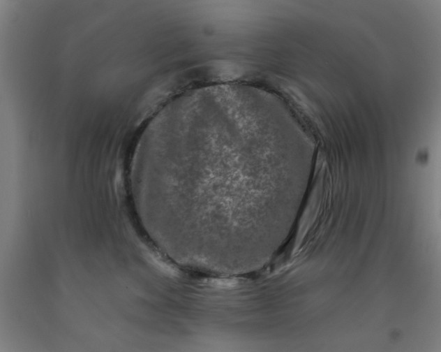 X0000091950524200709271328