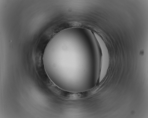 X0000091950525200709271328