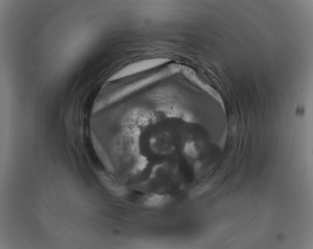 X0000091950527200709271328