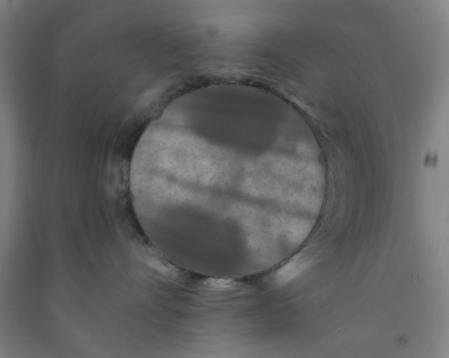 X0000091950528200709271328