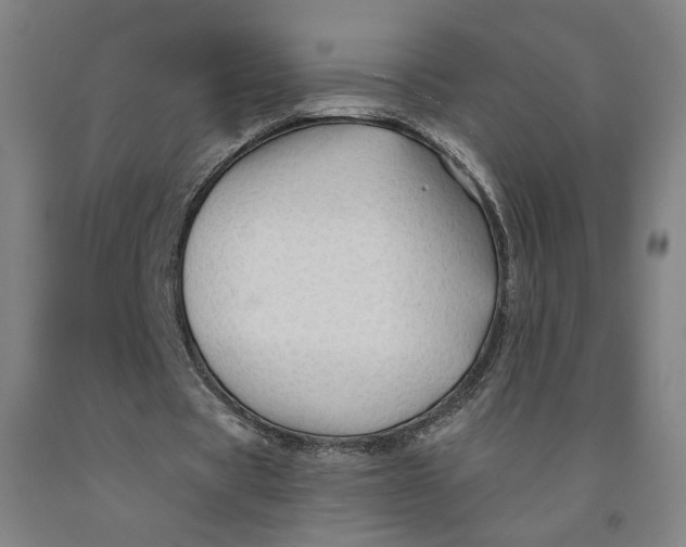 X0000091950529200709271328