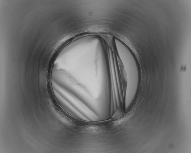 X0000091950530200709271328