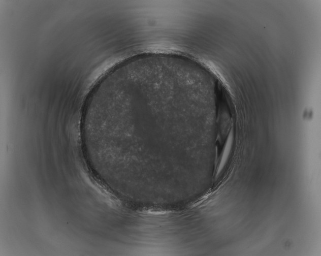 X0000091950531200709271328