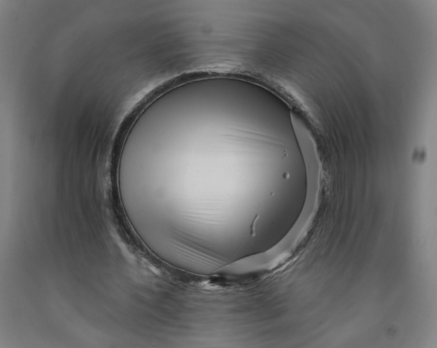 X0000091950532200709271328