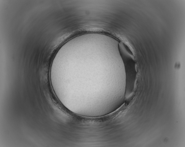 X0000091950533200709271328