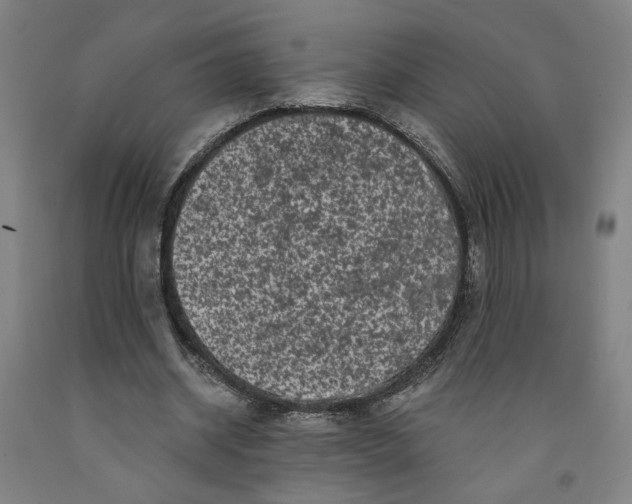 X0000091950534200709271328