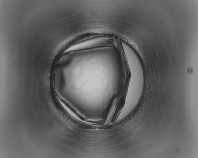 X0000091950535200709271328