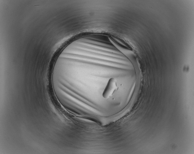 X0000091950536200709271328