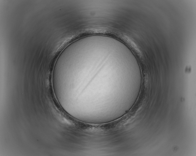 X0000091950537200709271328