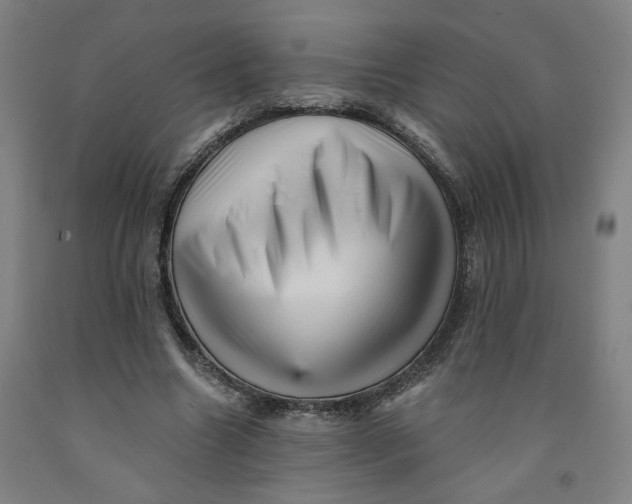 X0000091950538200709271328