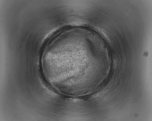 X0000091950539200709271328