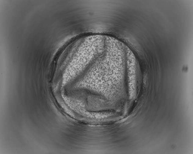 X0000091950540200709271328