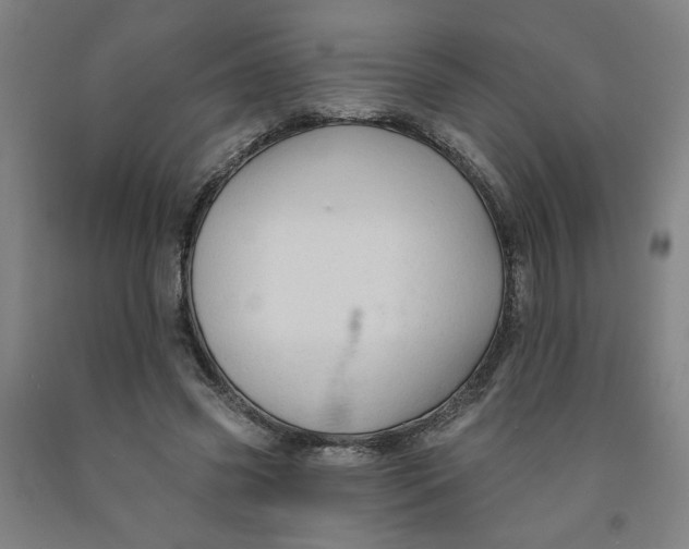 X0000091950541200709271328