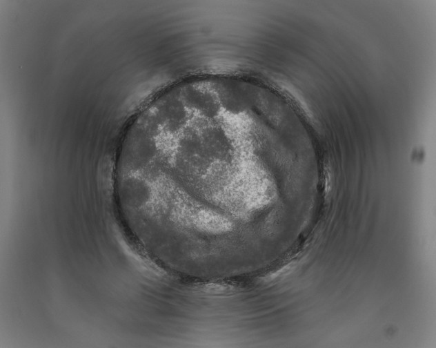 X0000091950542200709271328