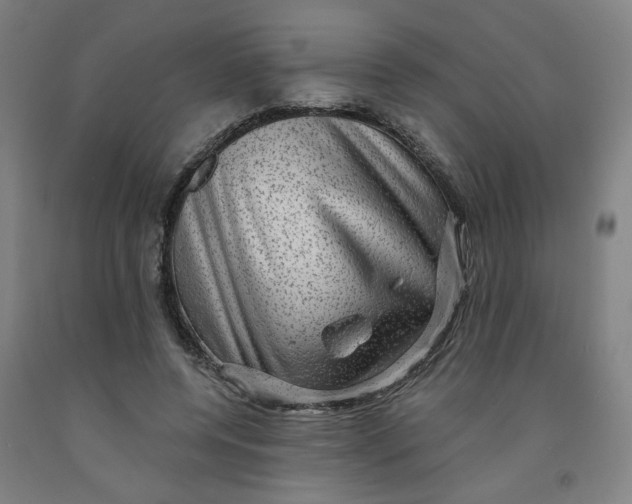 X0000091950544200709271328