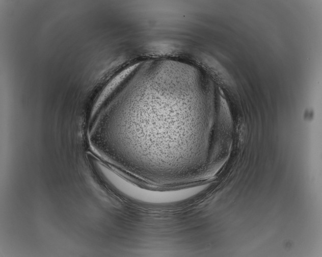 X0000091950546200709271328