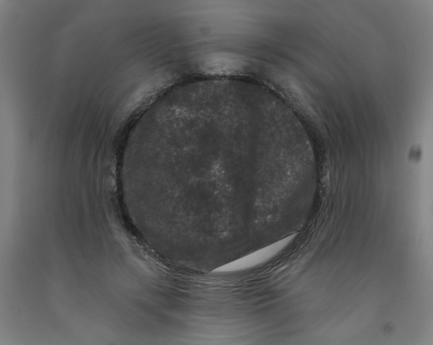 X0000091950547200709271328