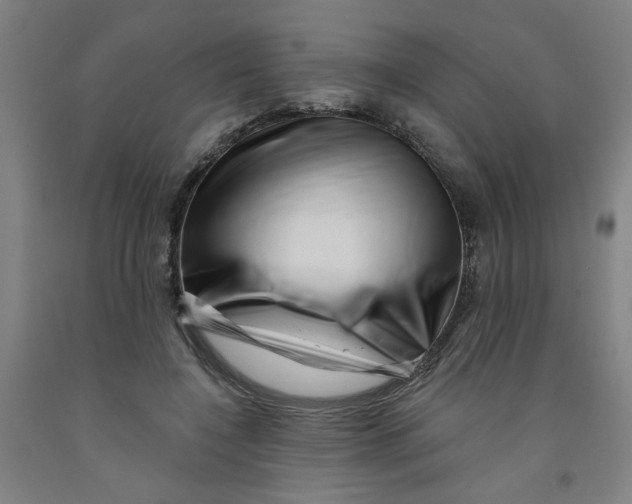 X0000091950548200709271328