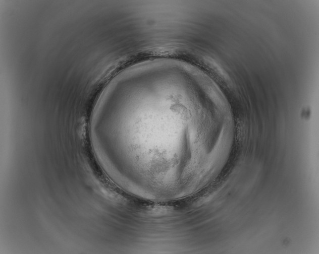 X0000091950549200709271328