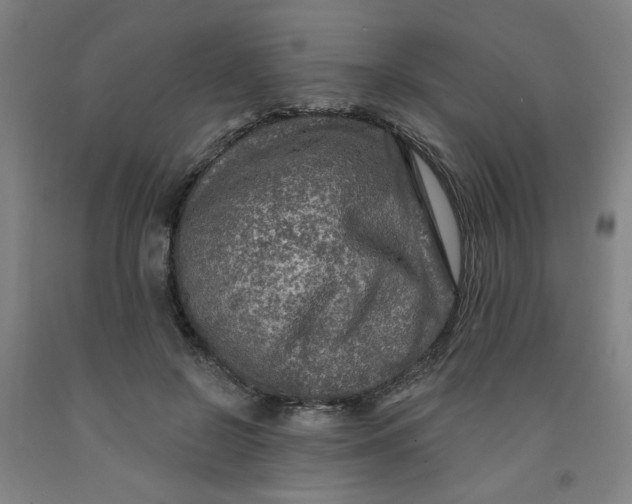 X0000091950550200709271328