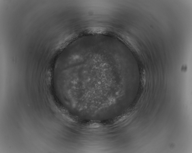 X0000091950551200709271328