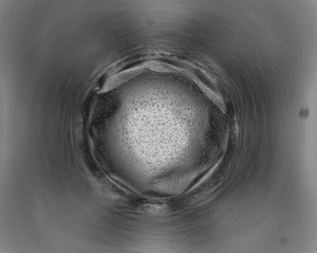 X0000091950552200709271328