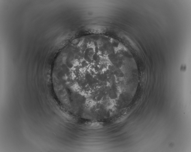 X0000091950553200709271328