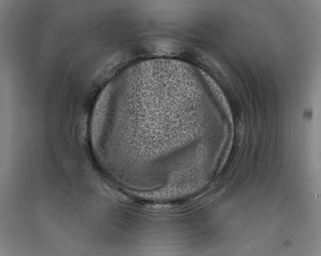 X0000091950554200709271328