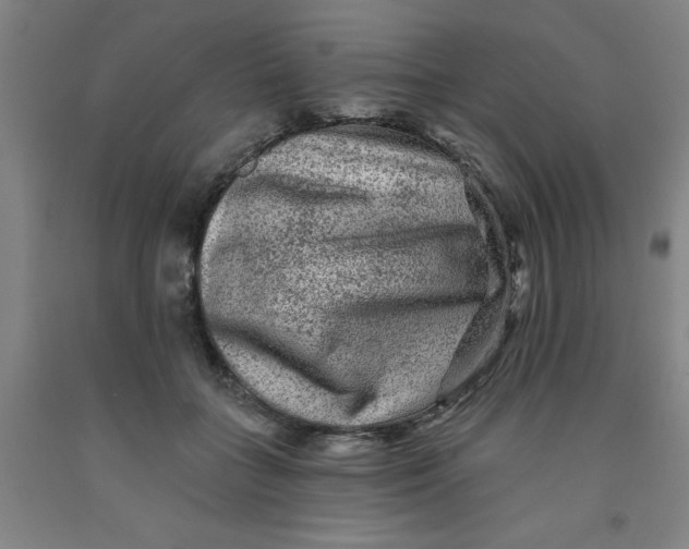 X0000091950555200709271328