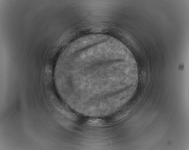 X0000091950557200709271328