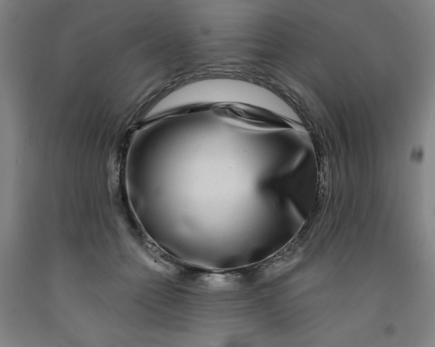 X0000091950558200709271328