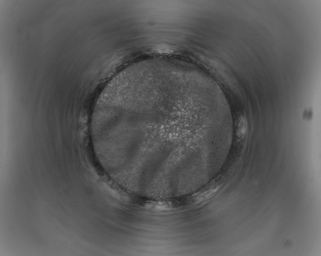 X0000091950559200709271328